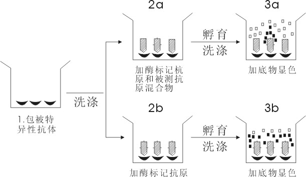 试剂盒的原理_美国Abraxis腹泻性贝类毒素DSP检测试剂盒(3)